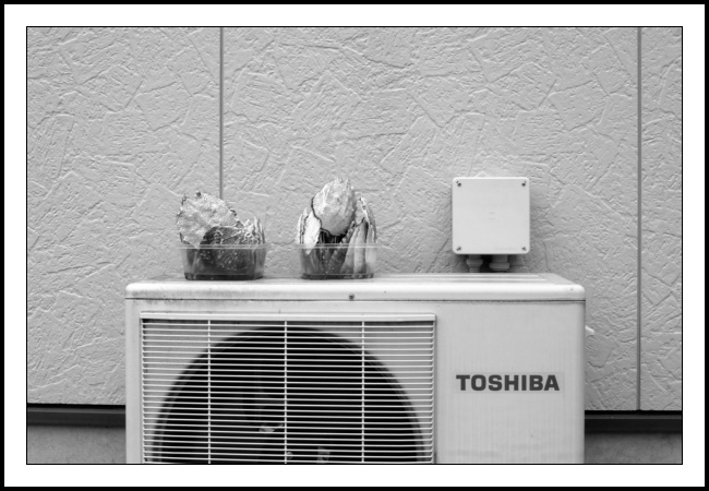 A black and white photograph of an air conditioning unit’s outdoor condenser (I had to look that up as coming from the UK, air conditioning in homes was strictly based upon opening a window and hoping for a breeze). The condenser sits in the middle of the shot occupying the bottom third or so of the frame. The condenser is made by Toshiba and is sitting in front of the house it cools (and in the winter heats). On top of the condenser are two plastic containers and each of them contain a number of large sea shells. To the right of the containers, and fixed to the outer faux stone look cladding of the house, is the covered power point for the condenser unit. By-the-by, the shells are large (about the size of a beer mat) and are squeezed into the plastic tubs expertly so that: (a) the most number of shells can be contained within each tub; and (b) the shells will not easily fall over either by casually knocking by passers-by or a more rigorous tectonic shaking. The top tips of the shells and the top of the covered power point are just about aligned and that alignment is just a tad above the centre horizontal line of the photograph. The remainder of the photograph being taken up by the faux stone cladding. No idea why the shells are there other than to try and add something natural to a mechanical object. It works (just), but of more interest to me and why I clicked the shutter was how well positioned the two tubs were versus the power point. Not quite equidistant between the three items so a little tension is created amongst them. An update to the foregoing: I took the photo on 10th May 2025. Yesterday, 31st May 2025 I walked past the air conditioning unit to check the contents of those plastic trays in more detail. They are filled with a mixture of scallop shells and crab shells. However, the two trays have now been moved and are closer together and in front of the covered power point. I would not have taken a photograph of it if initially seen with that arrangement. Timing is everything!