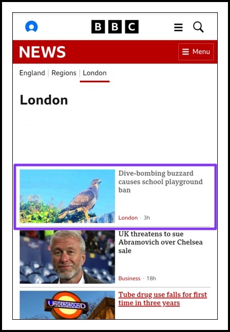 A screen shot from the BBC website where the headline being discussed is marked with a purple border and reads ‘Dive-bombing buzzard causes school playground ban’.